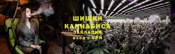 spice Алзамай