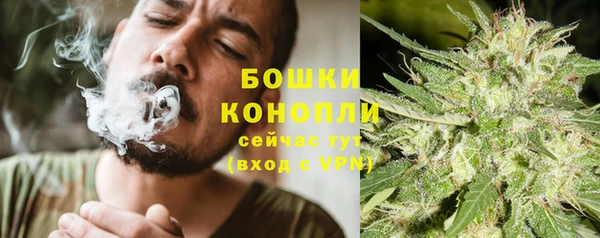 стафф Покачи